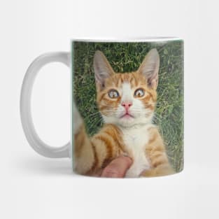 petting an orange tomcat Mug